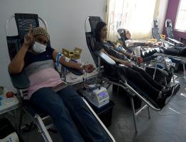 Imagens: Marcio Lino/PMG